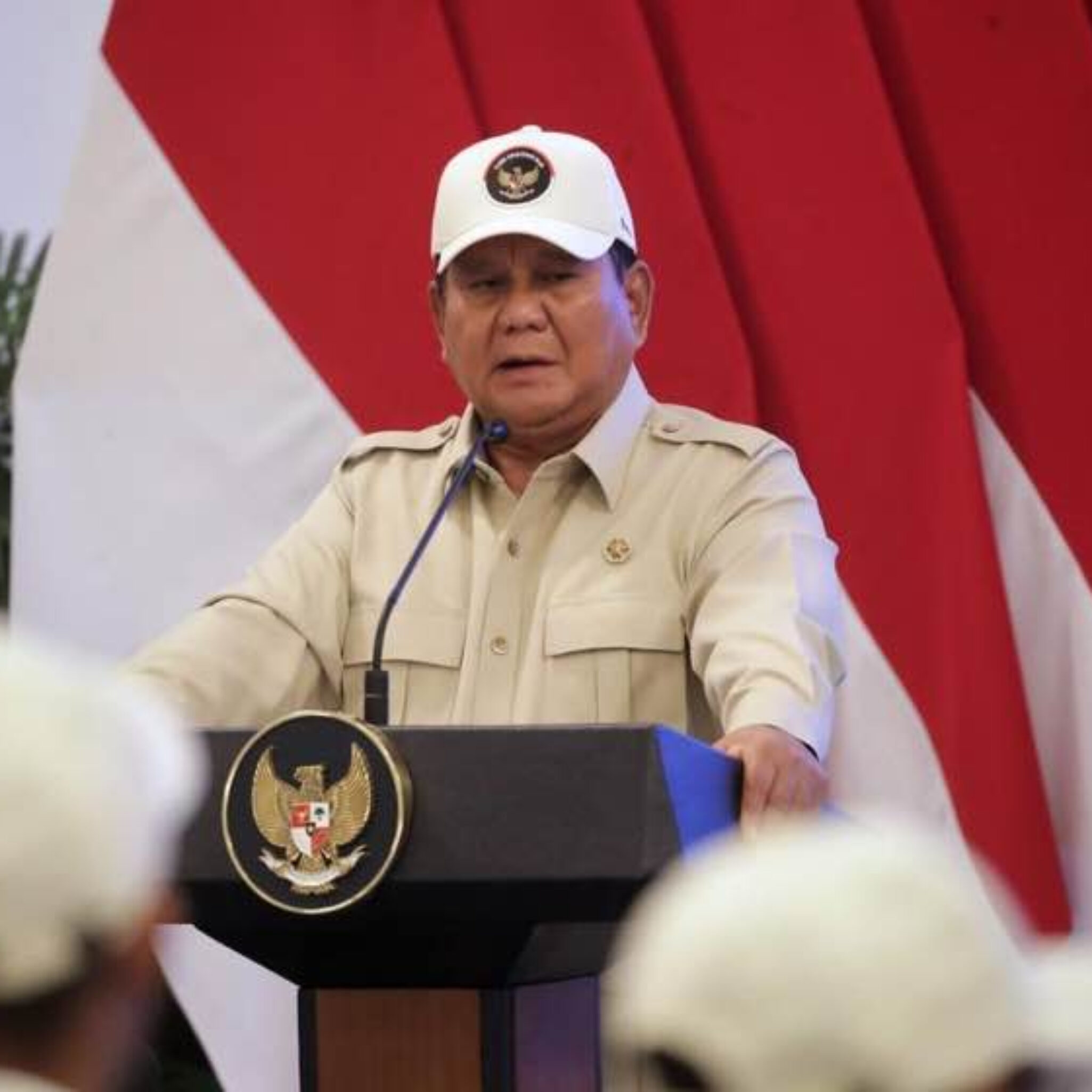 Prabowo Tegas Cabut Izin Sawit, Negara Ambil Alih 4 Juta Hektar Lahan Hutan
