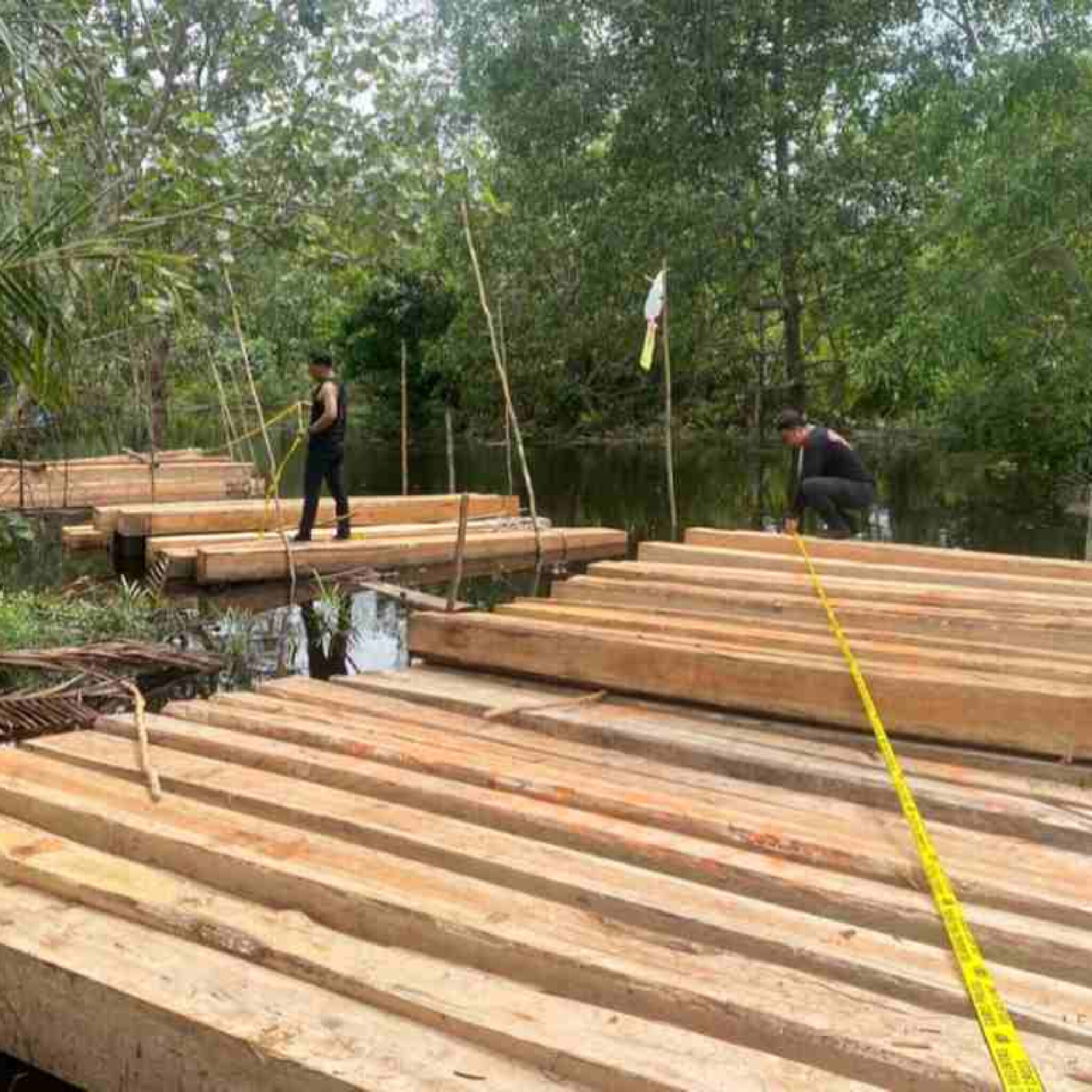 Polres Meranti Bekuk Pelaku Illegal Logging Beserta 8 Ton Kayu