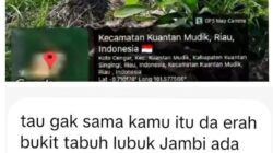 Waduh Gawat Selain Kawasan HP, Juga Hutan Lindung Bukit Betabuh Dijarah Mafia PETI dan Selain Rakit Juga Box Serta Alat Berat, Beroperasi Siang dan Malam
